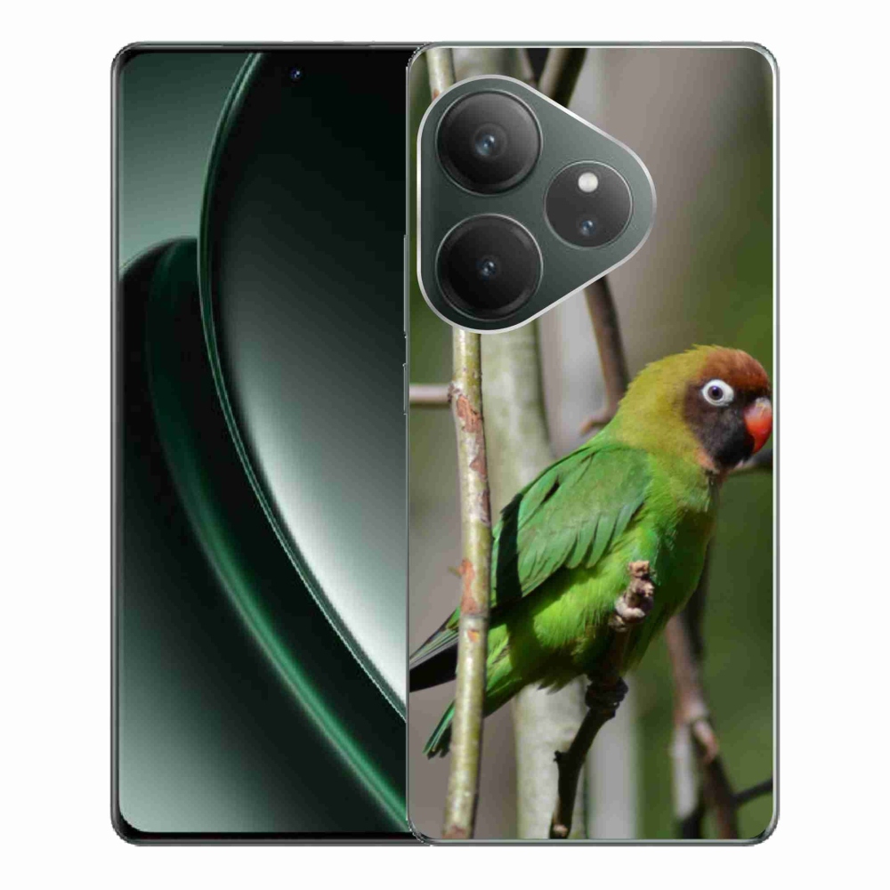 mmCase géltok a Realme GT 6 5G/GT 6T 5G készülékhez – agapornis papagáj