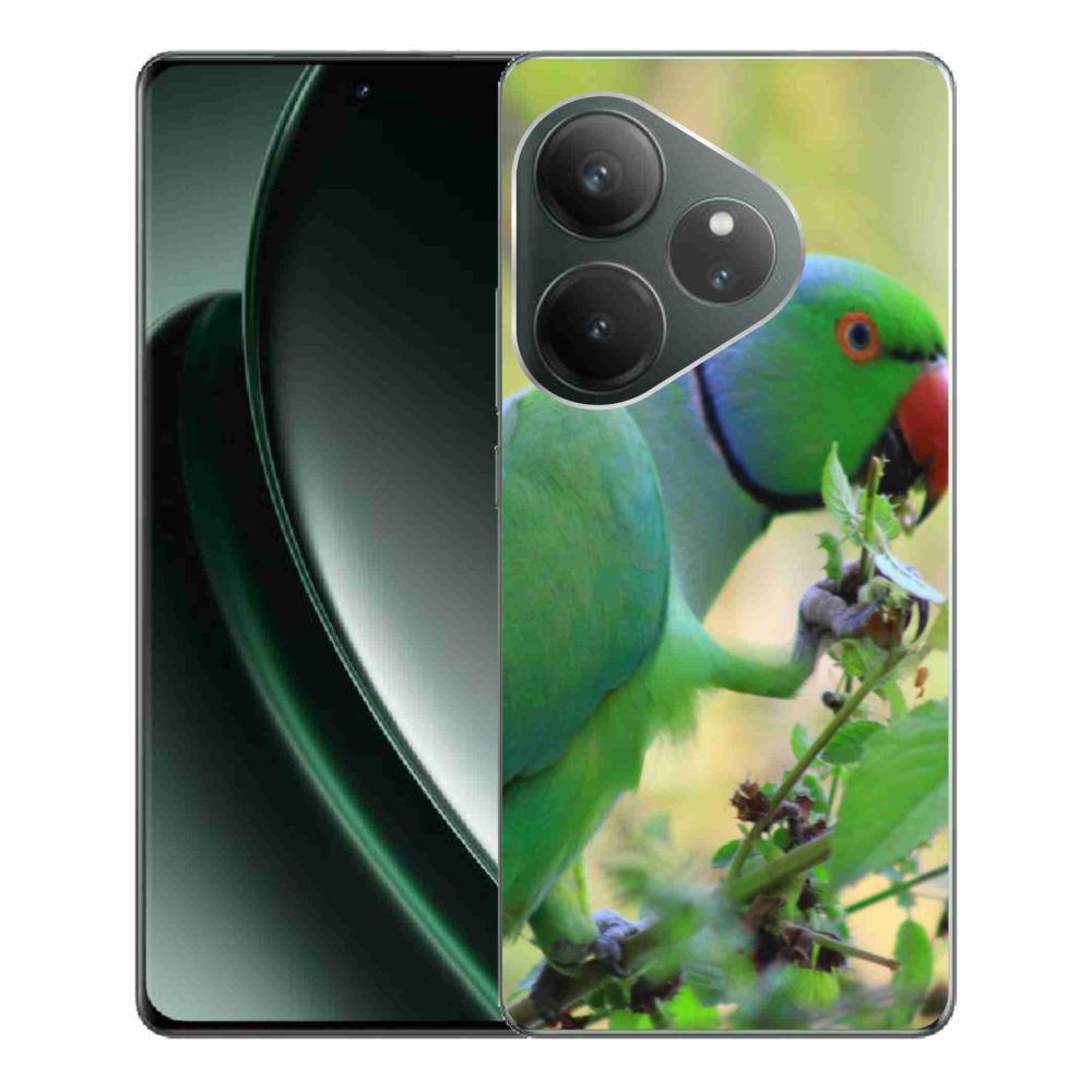 mmCase géltok a Realme GT 6 5G/GT 6T 5G készülékhez – alexandri papagáj