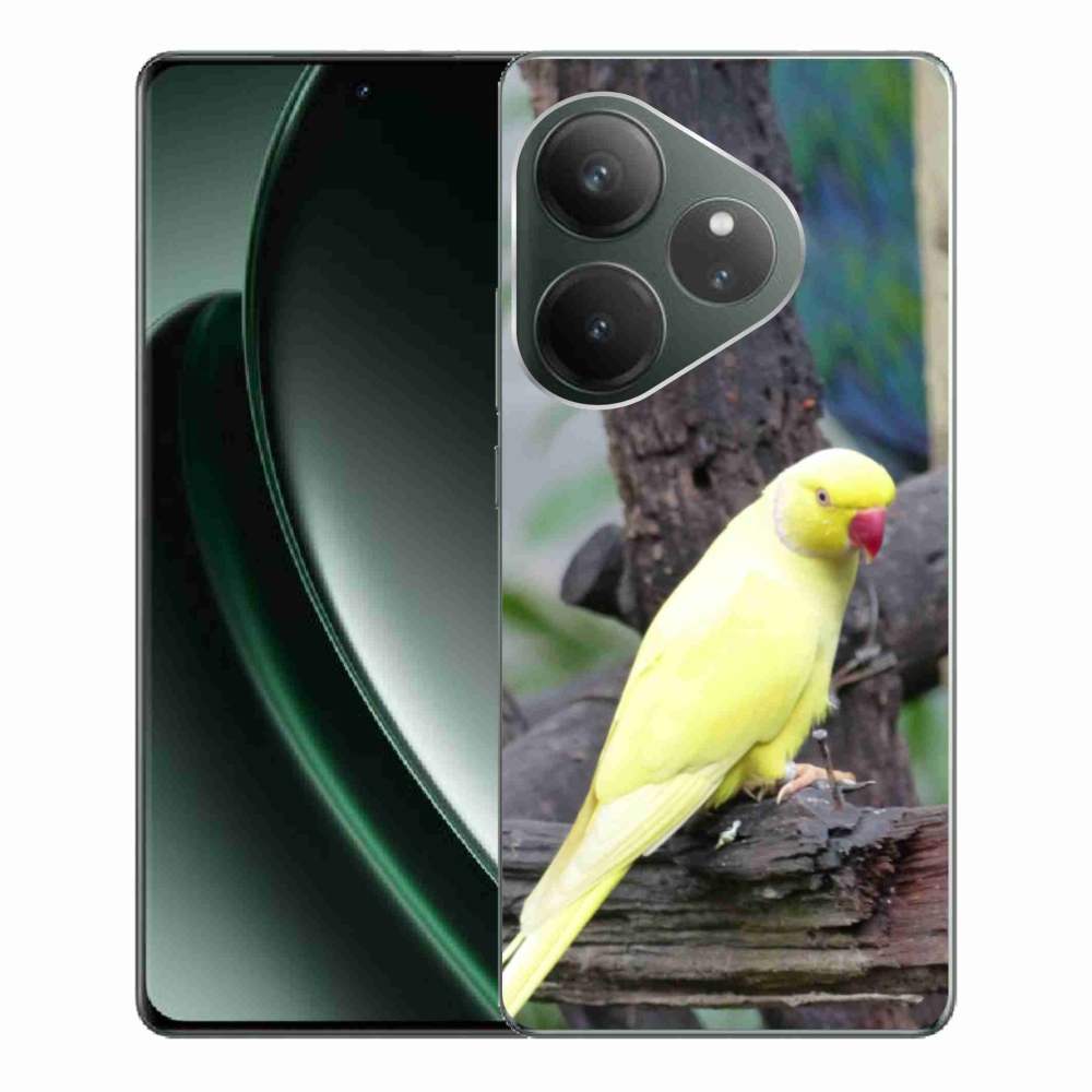 mmCase géltok a Realme GT 6 5G/GT 6T 5G készülékhez – sárga alexandri papagáj