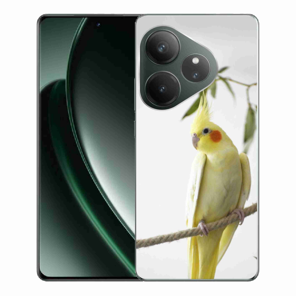 mmCase géltok a Realme GT 6 5G/GT 6T 5G készülékhez – tollas papagáj