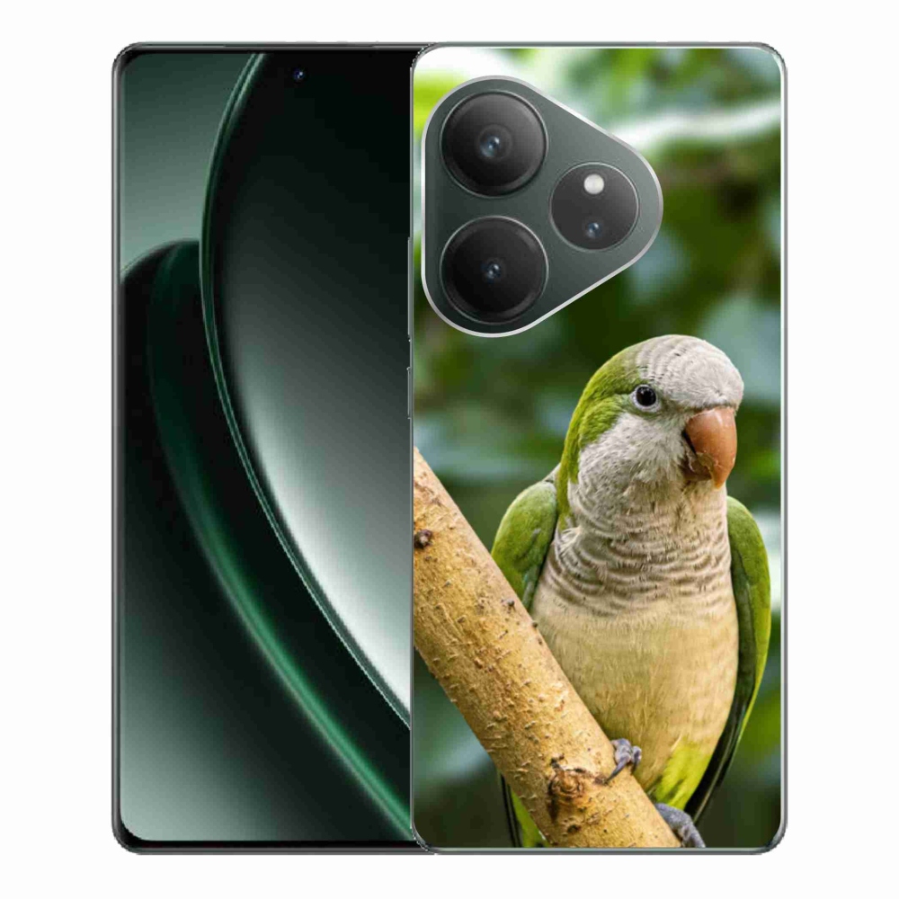 mmCase gél tok a Realme GT 6 5G/GT 6T 5G készülékekhez – papagáj és szerzetes
