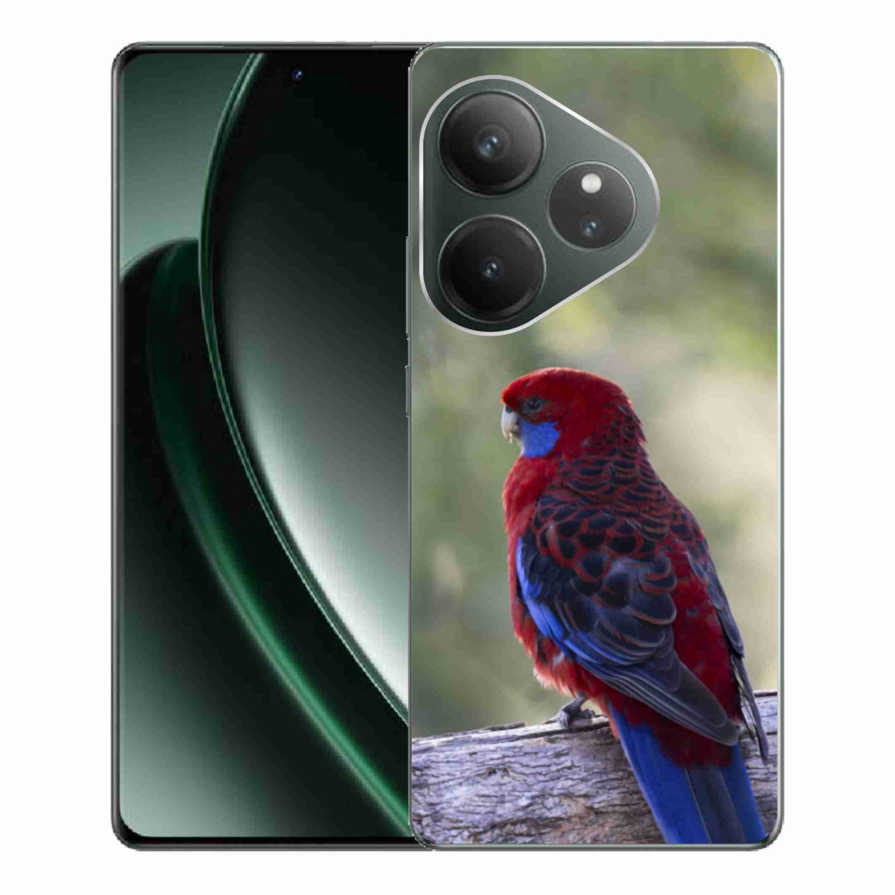 mmCase géltok a Realme GT 6 5G/GT 6T 5G készülékhez – rosella papagáj