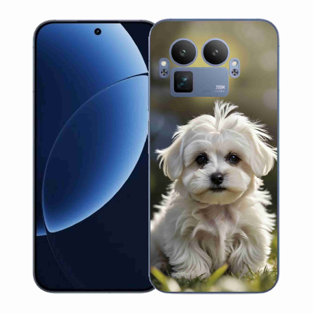 Gél borítás mmCase a Realme GT 8 Pro 5G számára - aranyos máltai kutya