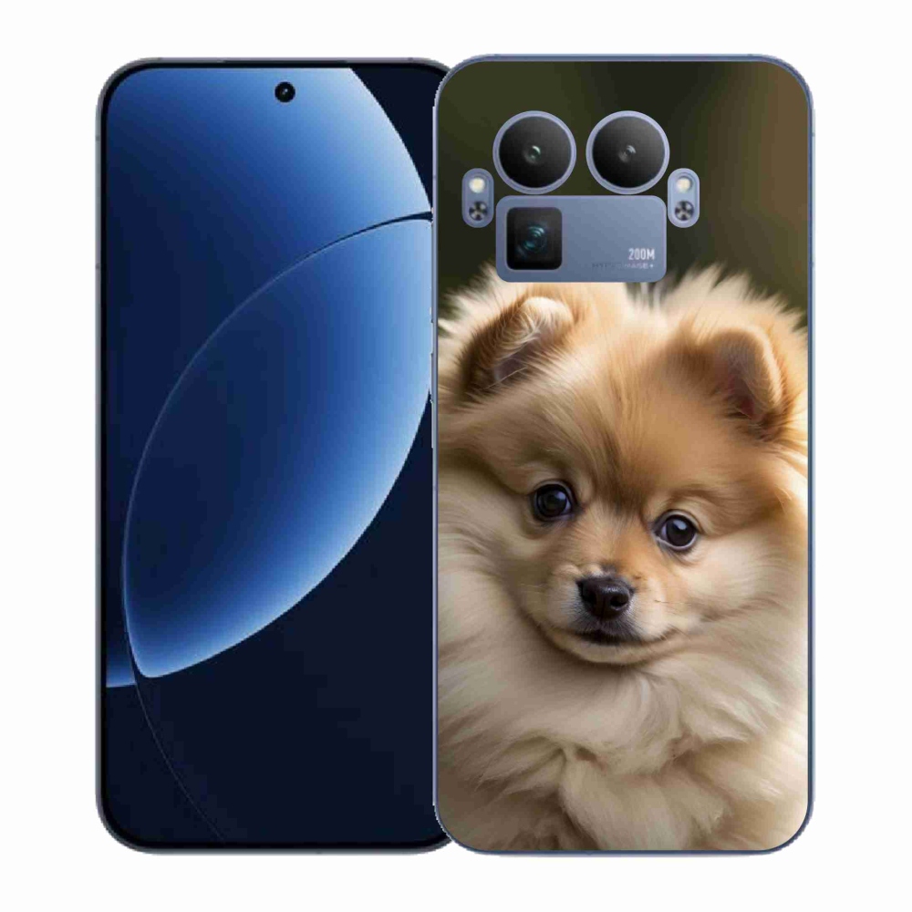 Gél borítás mmCase a Realme GT 8 Pro 5G számára - aranyos pomerániai 2