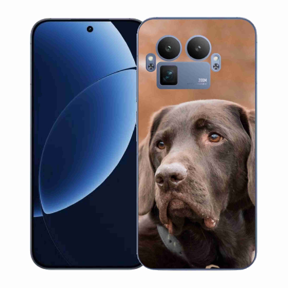 Zselés borítás mmCase a Realme GT 8 Pro készülékhez - barna labrador színben