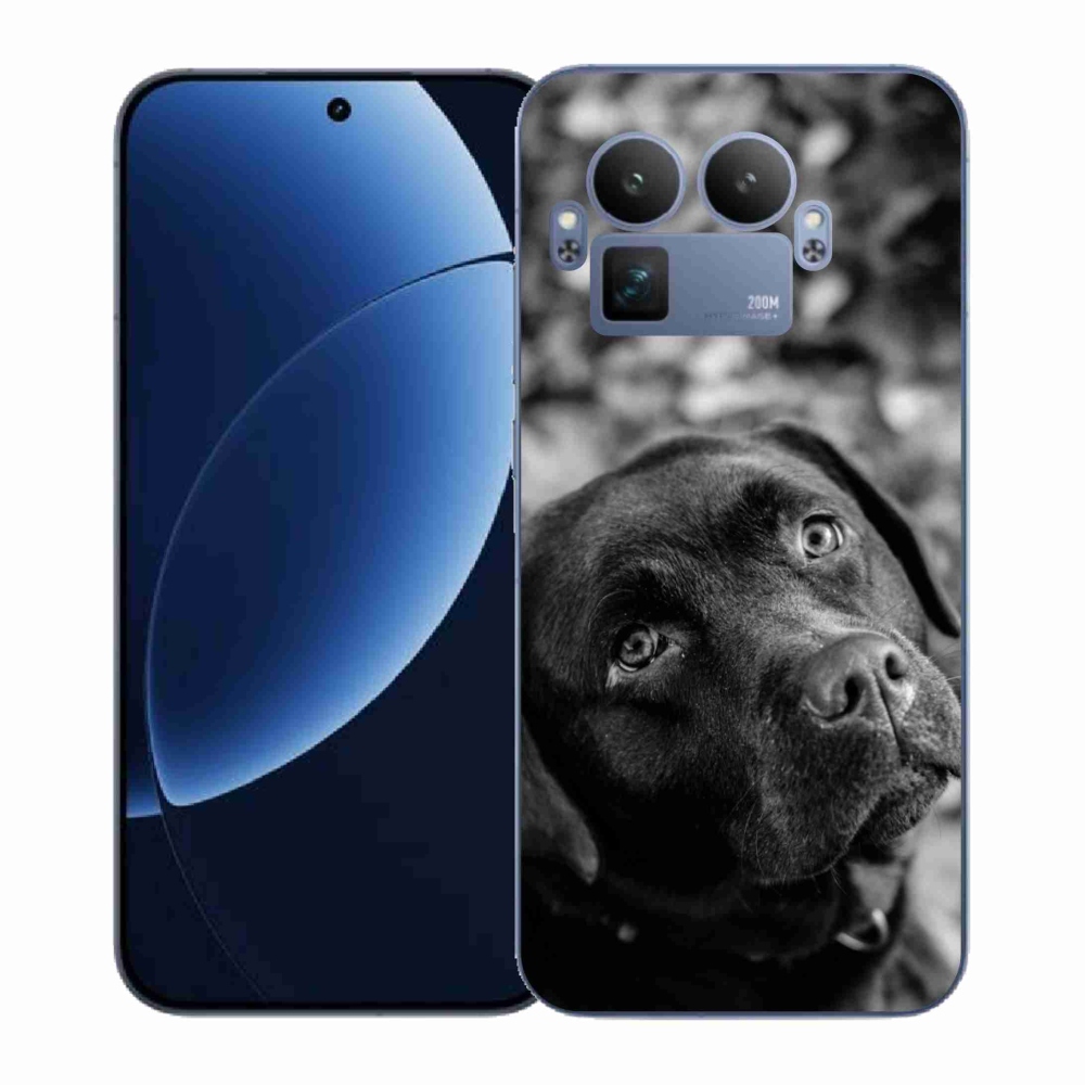 Gél borítás mmCase a Realme GT 8 Pro készülékhez - labrador