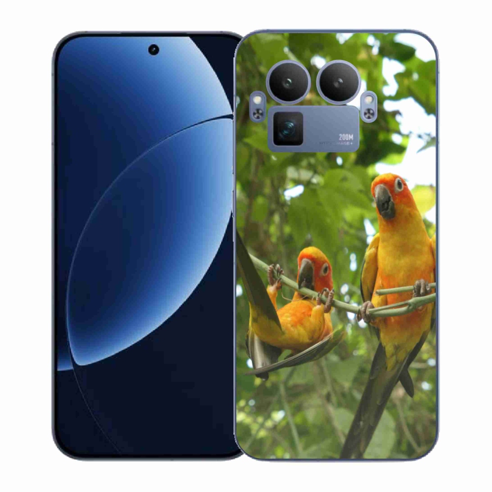 Gél borítás mmCase a Realme GT 8 Pro készülékhez - papagájok aratingy