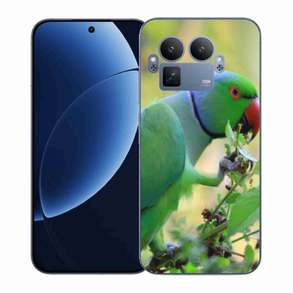 Gél borítás mmCase a Realme GT 8 Pro készülékhez - papagáj alexandr