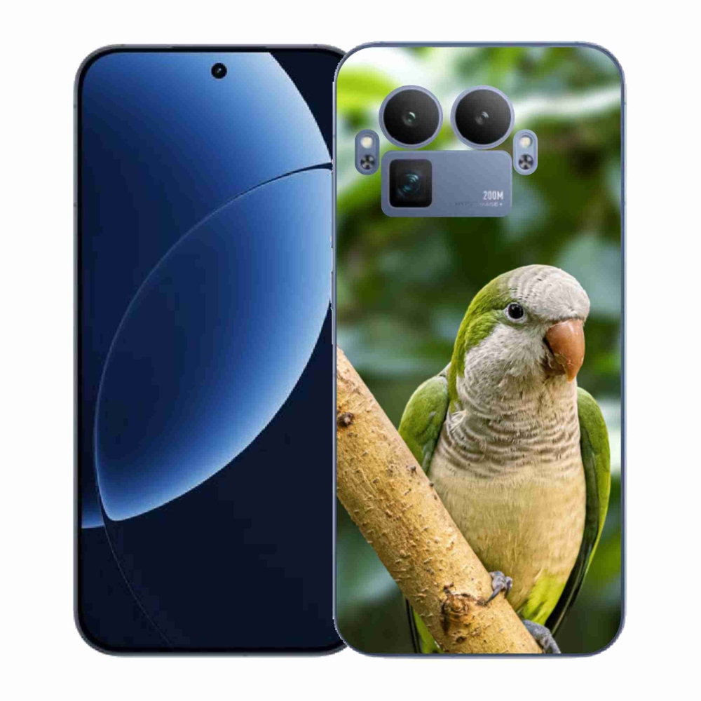 Gél borítás mmCase a Realme GT 8 Pro készülékhez - papagáj