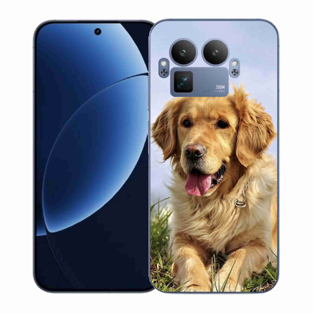 Gél borítás mmCase a Realme GT 8 Pro készülékhez - arany retriever