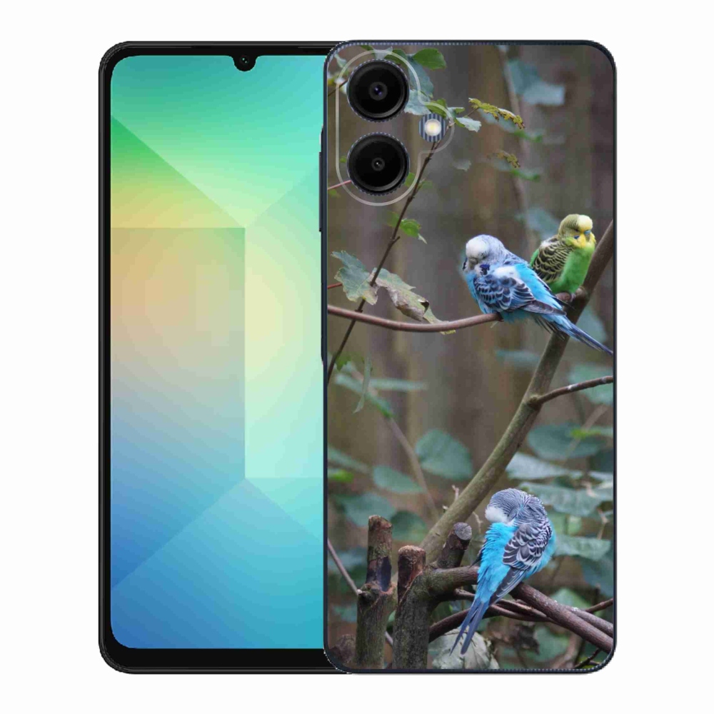Zselés borító mmCase Samsung Galaxy A06-hoz - papagájok az ágon