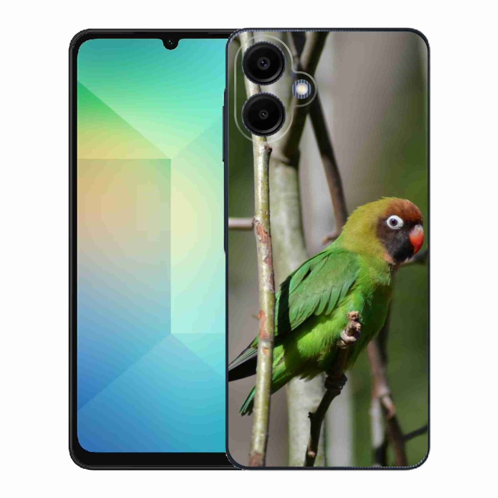 Gél borítás mmCase Samsung Galaxy A06-hoz - papagáj agapornis