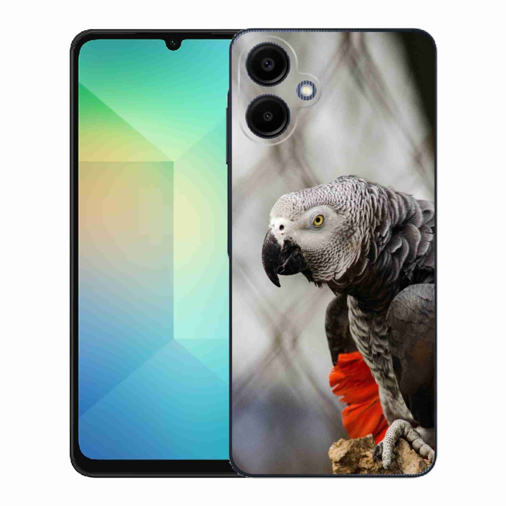 Zselés borítás mmCase Samsung Galaxy A06-hoz - papagáj jacko 3