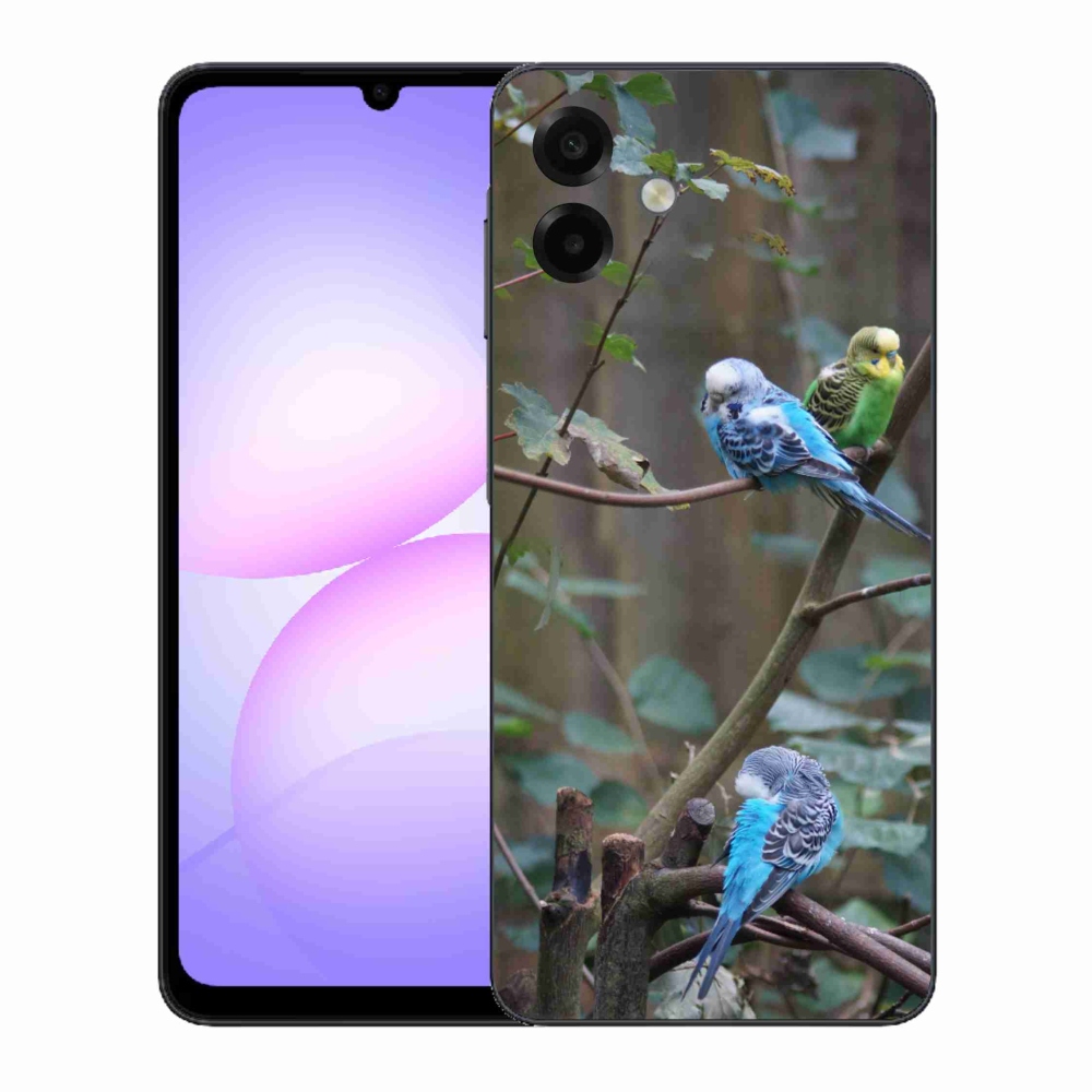 Gél borító mmCase Samsung Galaxy A07 készülékhez - papagájok az ágon