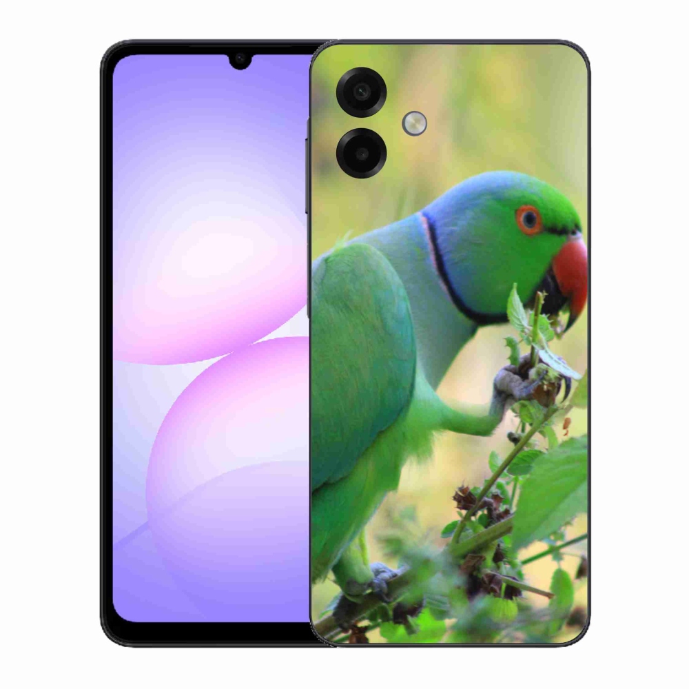 Zselés borítás mmCase Samsung Galaxy A07 - papagáj alexandr