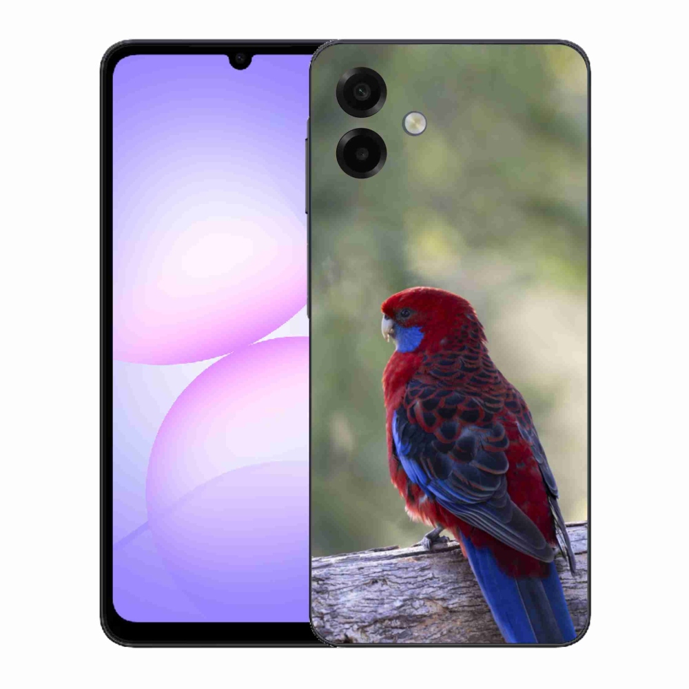 Gél borítás mmCase Samsung Galaxy A07 készülékhez - papagáj rosela