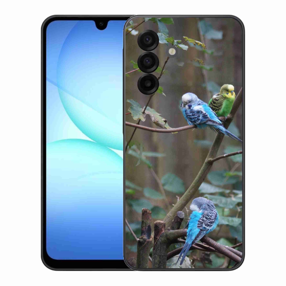 Gél borítás mmCase Samsung Galaxy A17 4G/5G készülékhez - papagájok az ágon