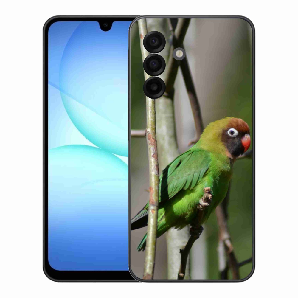 Gél borítás mmCase Samsung Galaxy A17 4G/5G - papagáj agapornis