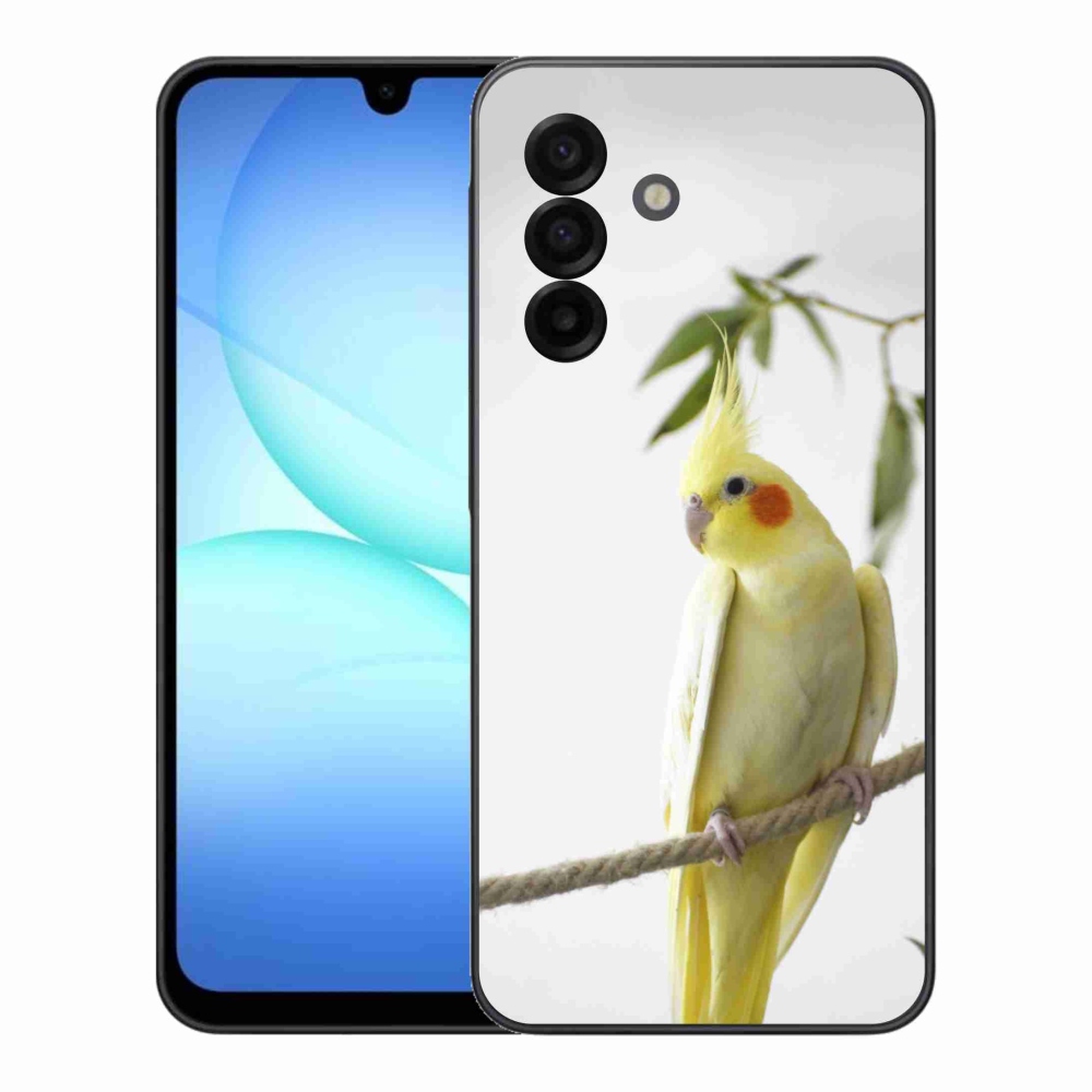 Gél borítás mmCase Samsung Galaxy A17 4G/5G - papagáj korela chocholatá