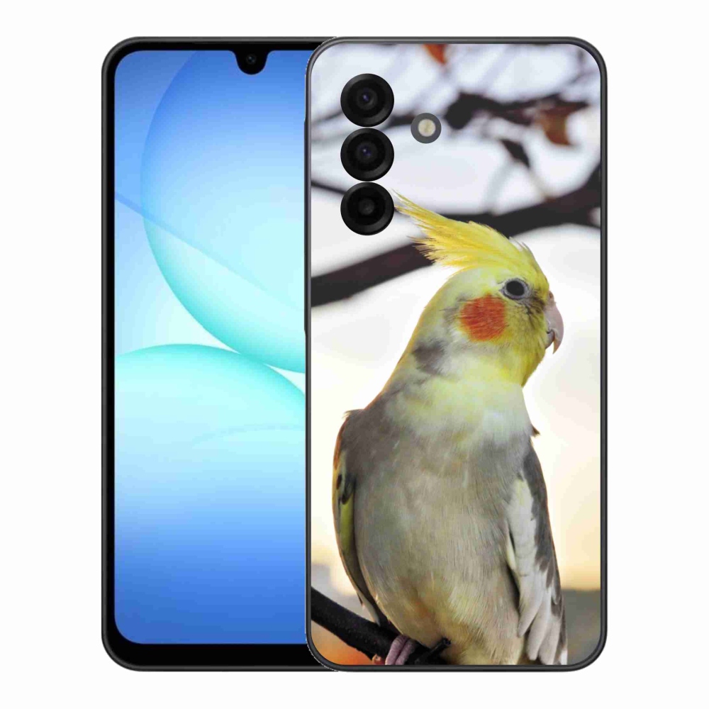 Gél borítás mmCase Samsung Galaxy A17 4G/5G - papagáj korela