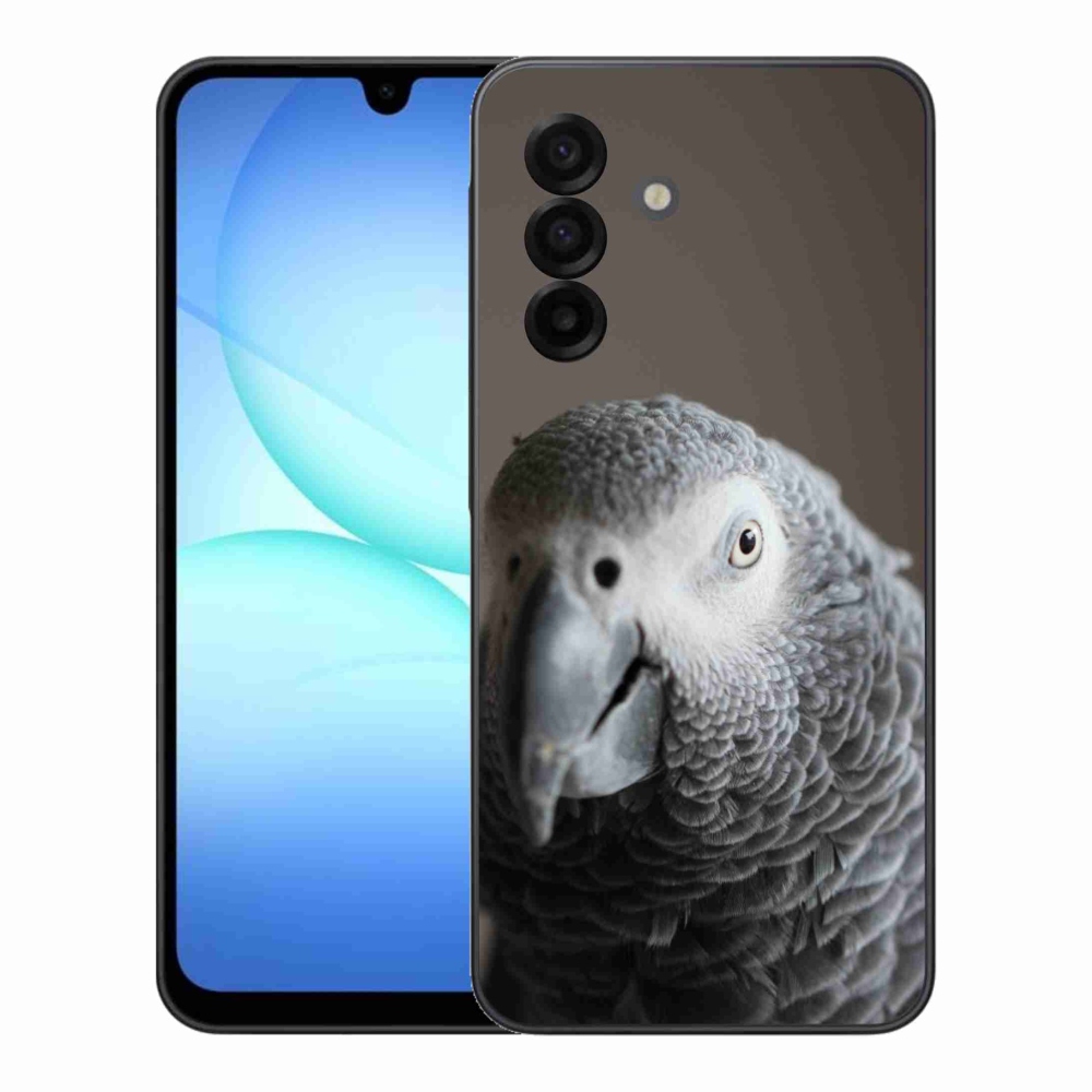 Zselés borítás mmCase Samsung Galaxy A17 4G/5G - papagáj jacco 2