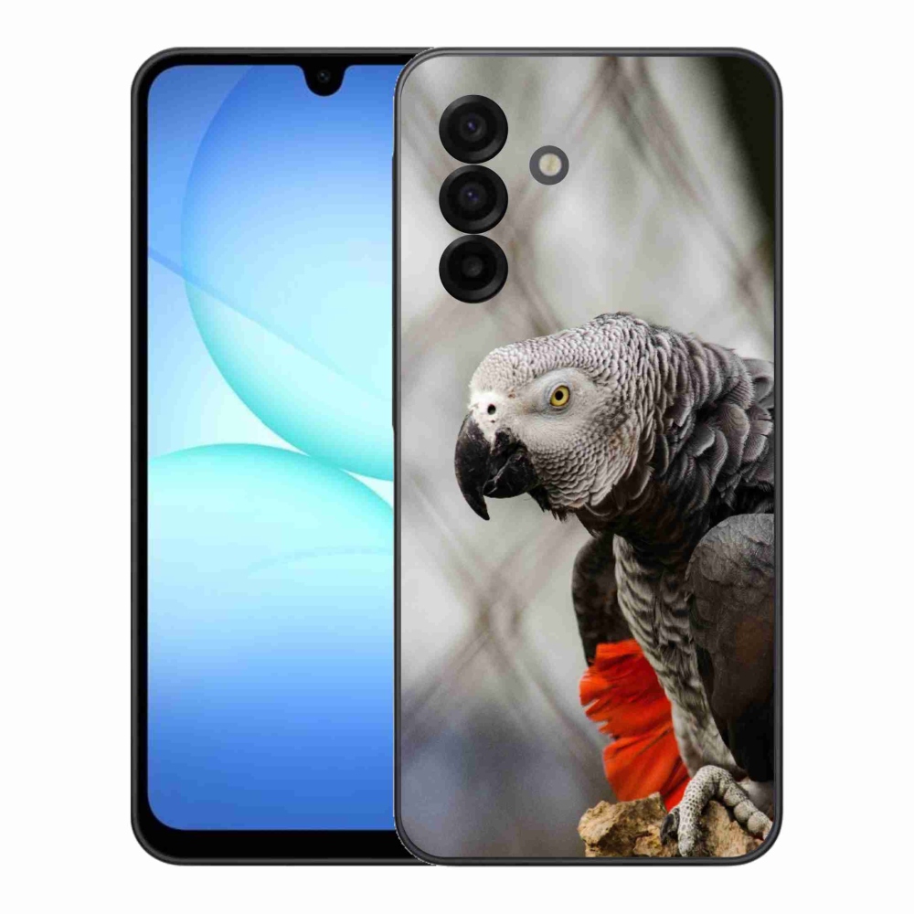 Gél borítás mmCase Samsung Galaxy A17 4G/5G készülékhez - papagáj jacco 3