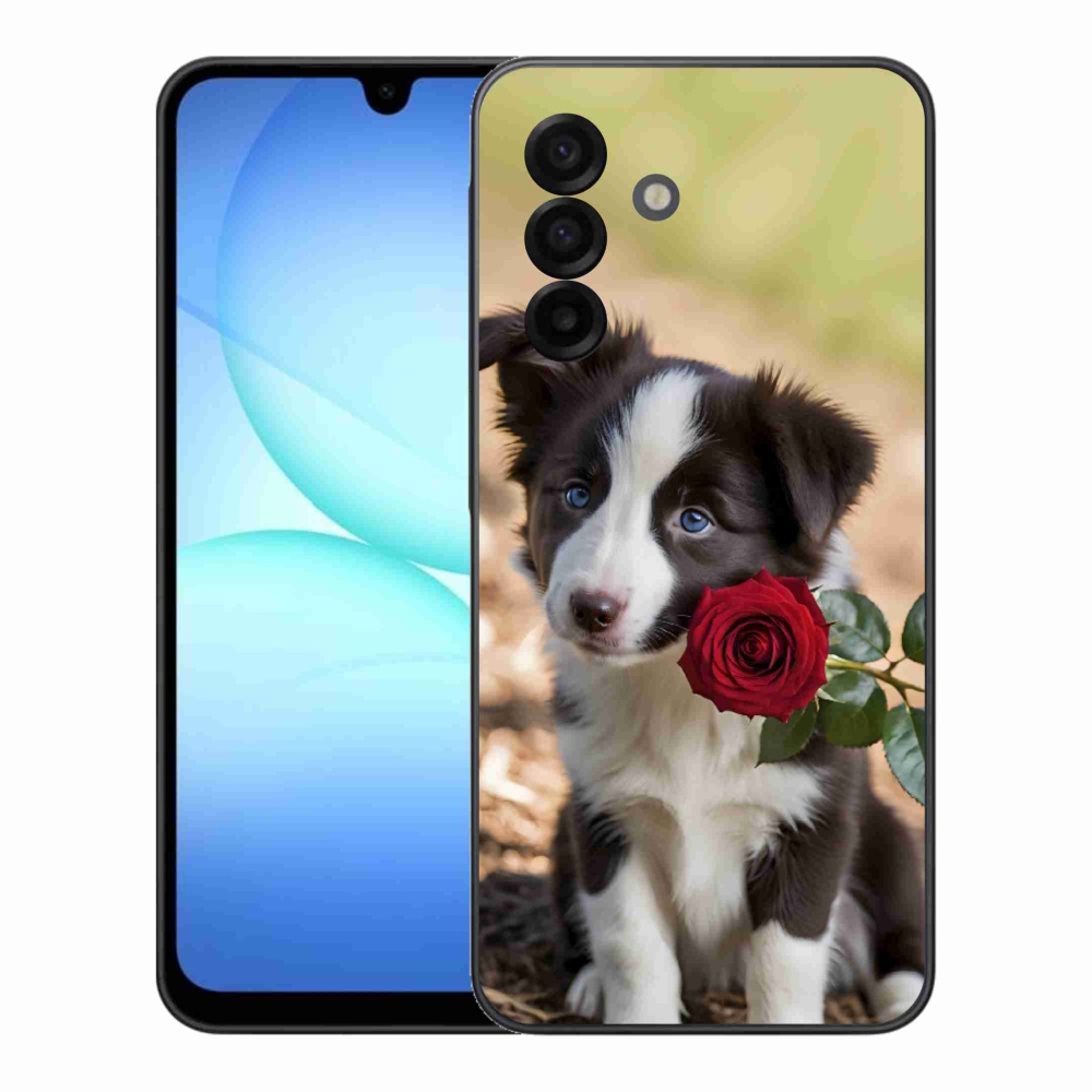 Gél borítás mmCase Samsung Galaxy A17 4G/5G készülékhez - aranyos border collie rózsával