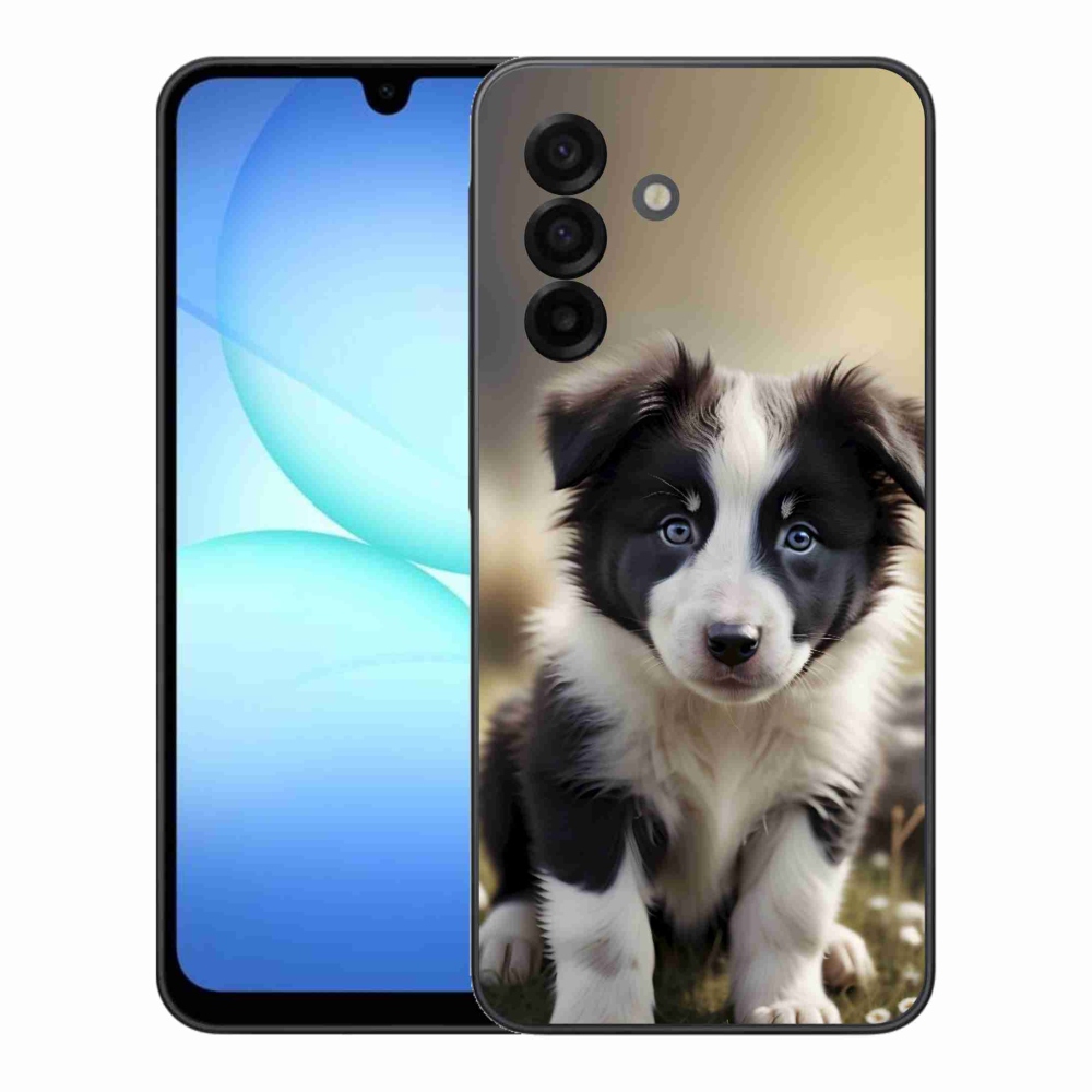 Gél borítás mmCase Samsung Galaxy A17 4G/5G készülékhez - aranyos border collie