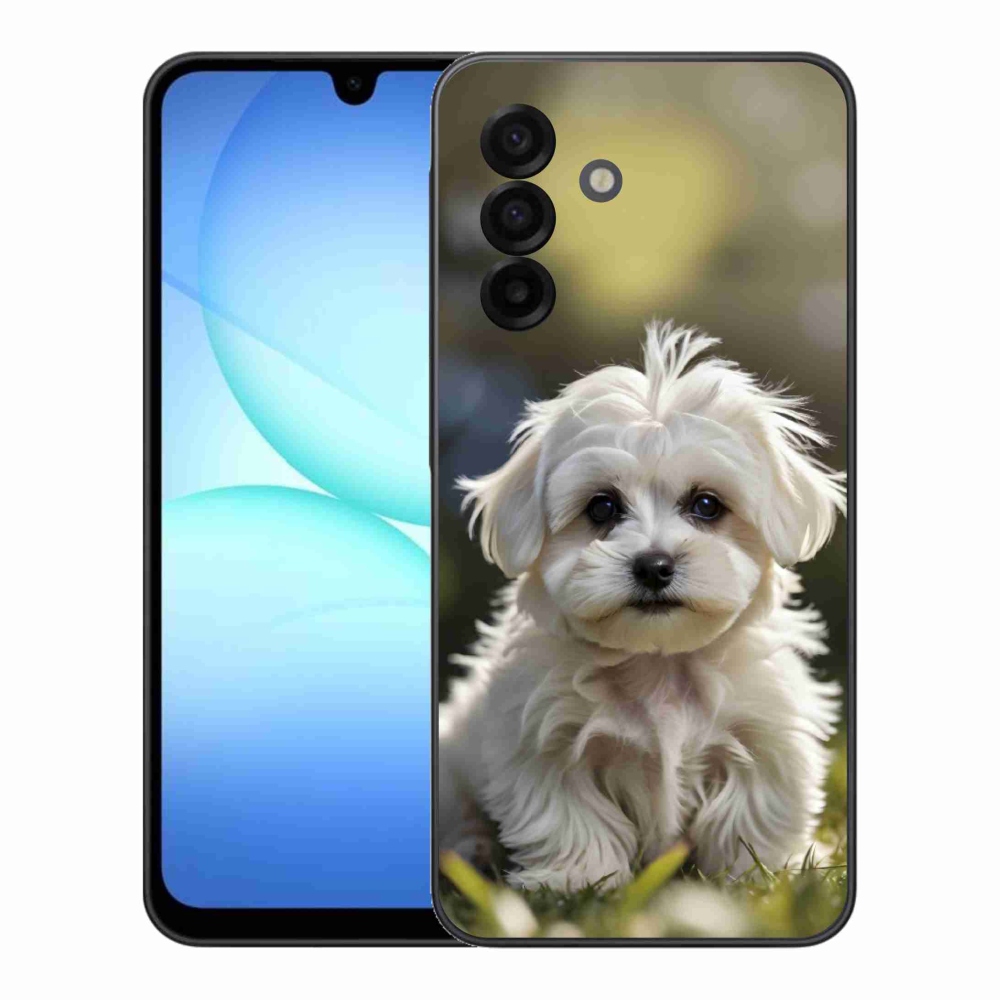 Gél borítás mmCase Samsung Galaxy A17 4G/5G készülékhez - aranyos máltai kutya