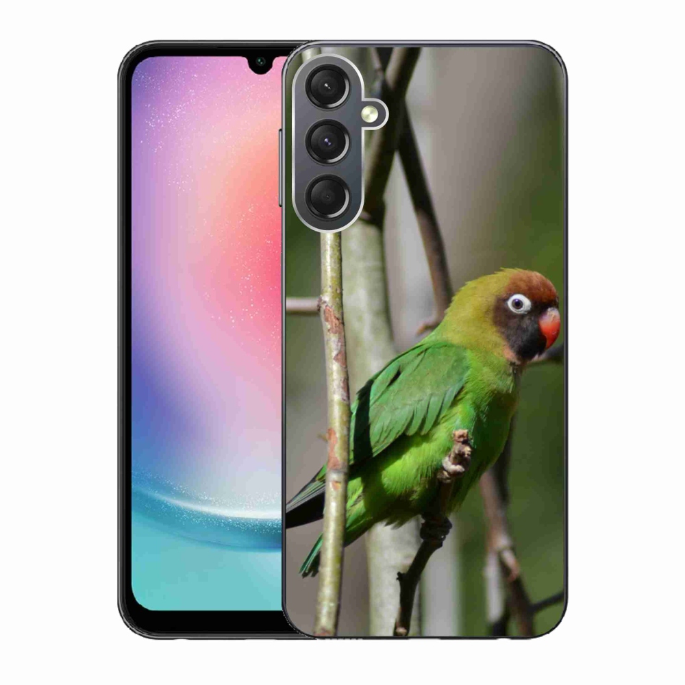 Gél borítás mmCase Samsung Galaxy A24 készülékhez - papagáj agapornis