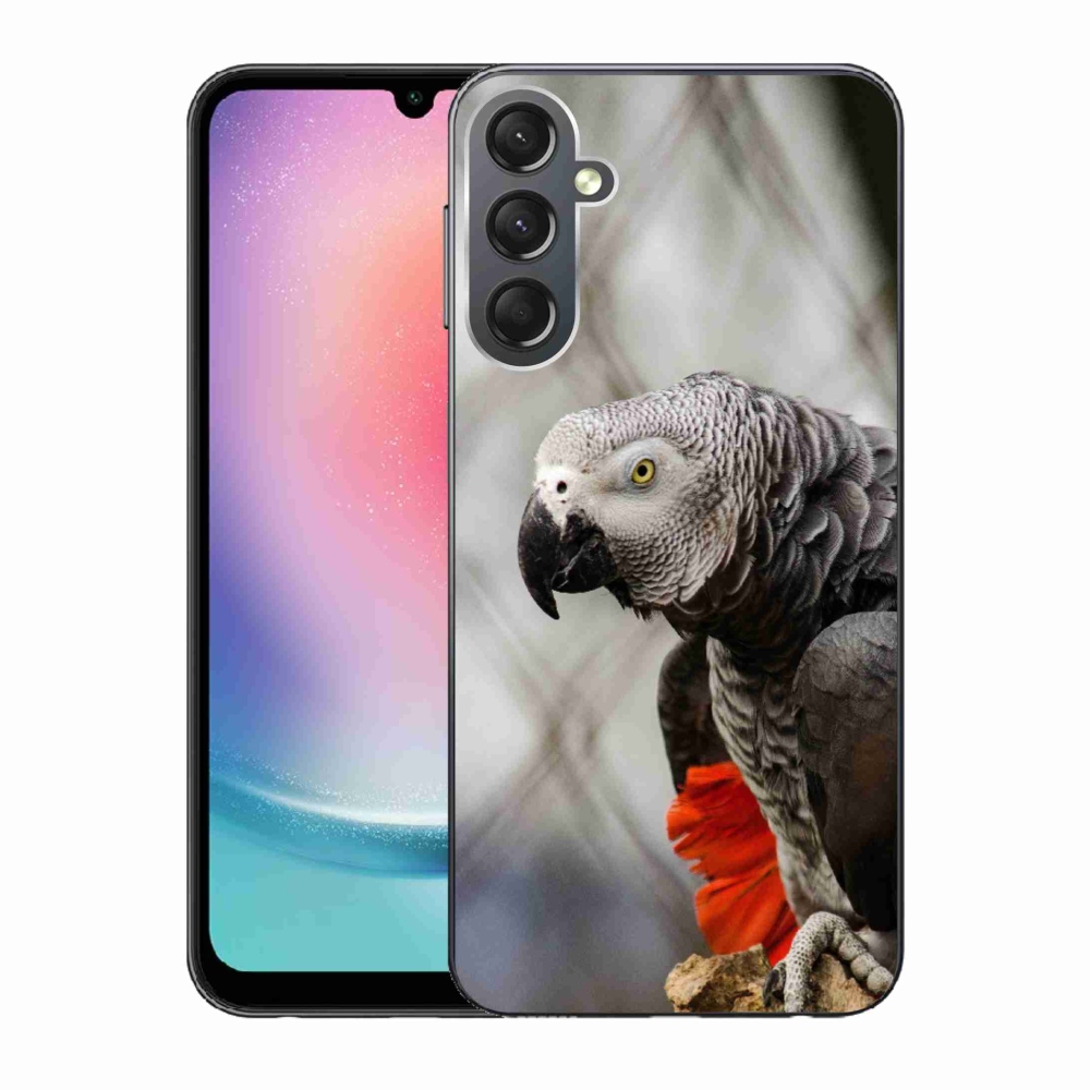 Zselés borítás mmCase Samsung Galaxy A24 készülékhez - papagáj jacko 3