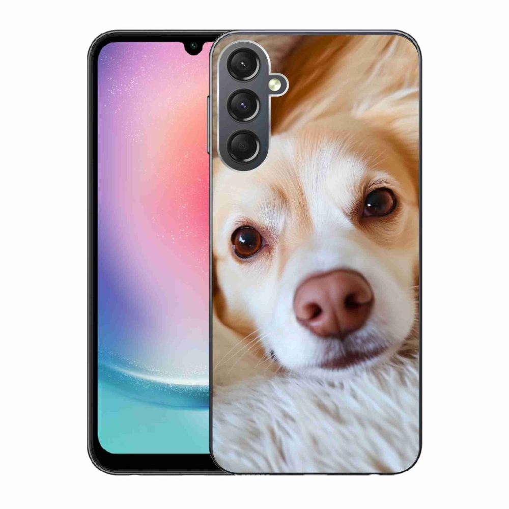 Gél borítás mmCase Samsung Galaxy A24 készülékhez - Aranyos csivava
