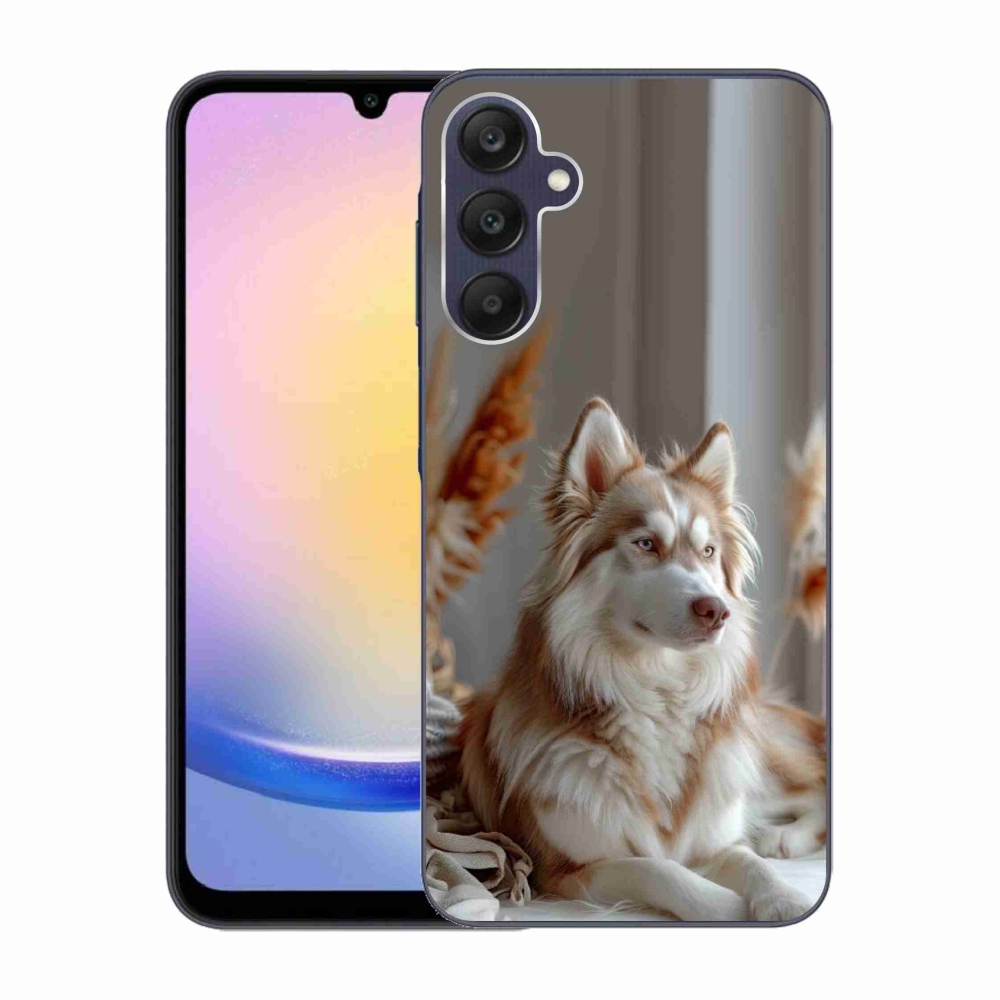 Gél borítás mmCase Samsung Galaxy A25 5G - csendes szibériai huskyhoz