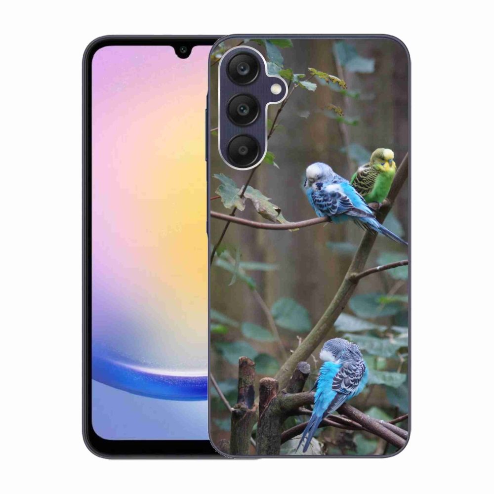 Zselés borító mmCase Samsung Galaxy A25 5G - papagájok az ágon