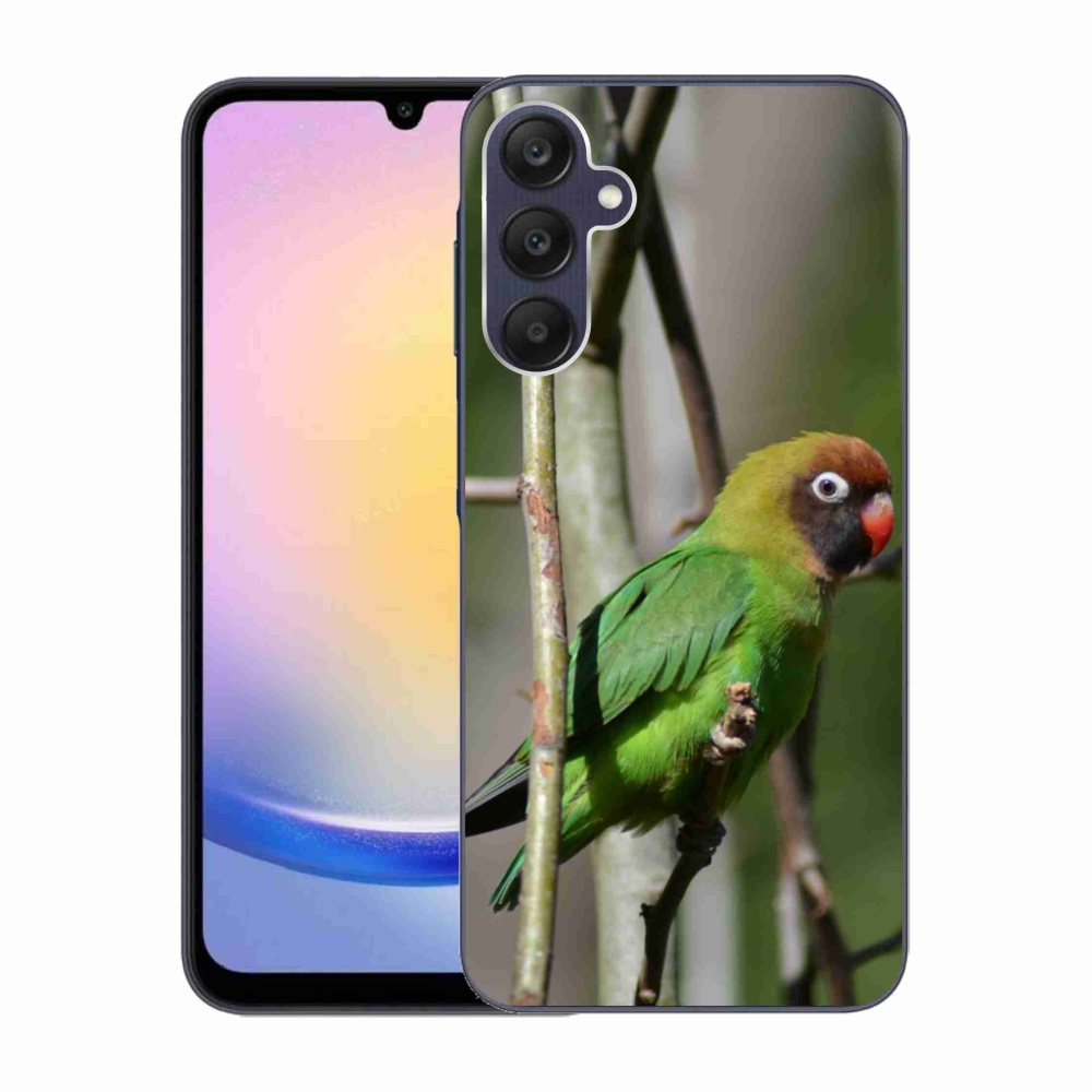 Gél borítás mmCase Samsung Galaxy A25 5G - papagáj agapornis