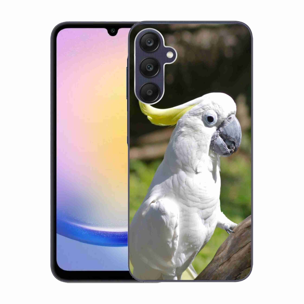 Gél borítás mmCase Samsung Galaxy A25 5G - papagáj kakadu 2