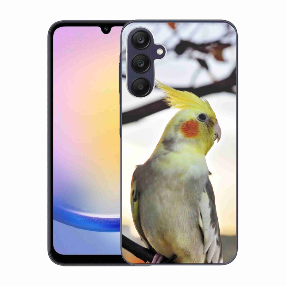 Gél borítás mmCase Samsung Galaxy A25 5G - papagáj korela