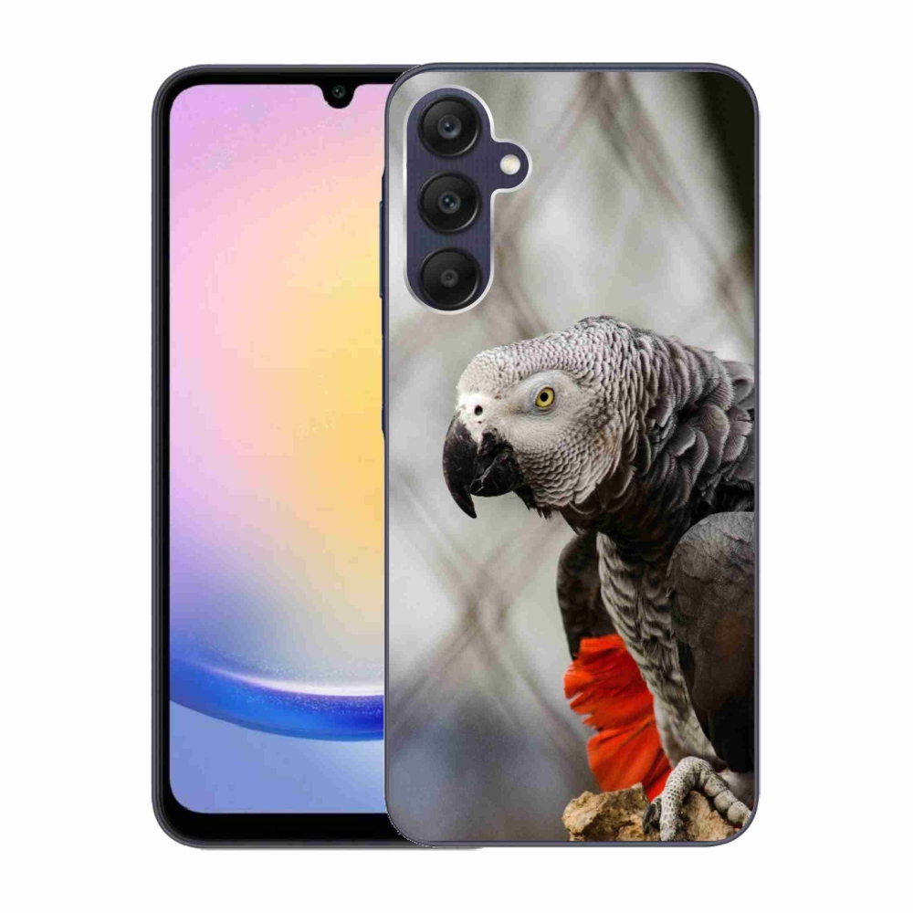 Gél borítás mmCase Samsung Galaxy A25 5G - papagáj jacco 3