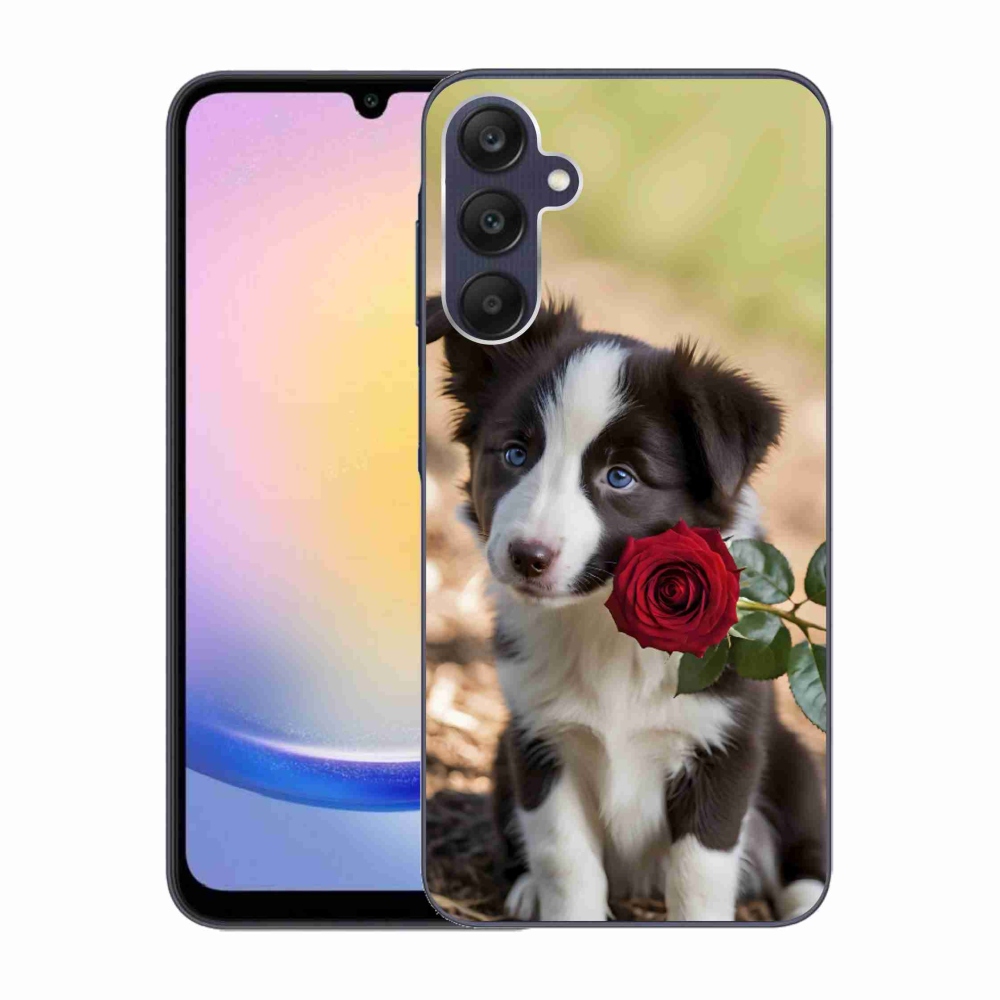 Gél borítás mmCase Samsung Galaxy A25 5G - aranyos border collie rózsával