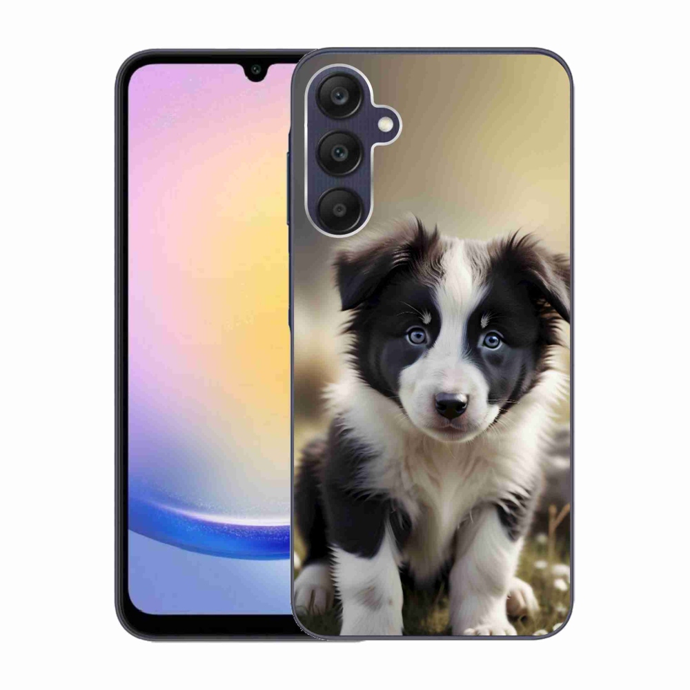Gél borító mmCase Samsung Galaxy A25 5G - aranyos border collie - Samsung Galaxy A25 5G számára
