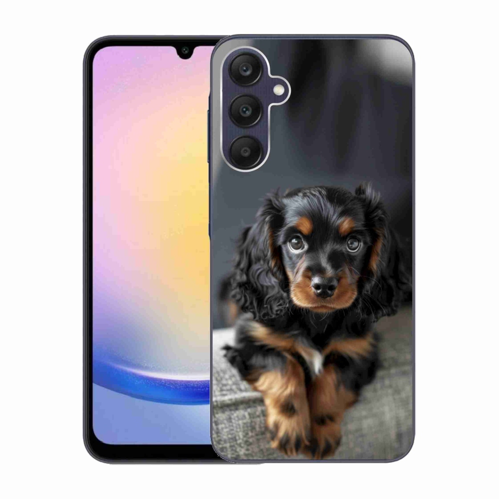 Gél borítás mmCase Samsung Galaxy A25 5G - aranyos hosszú szőrű tacskóhoz