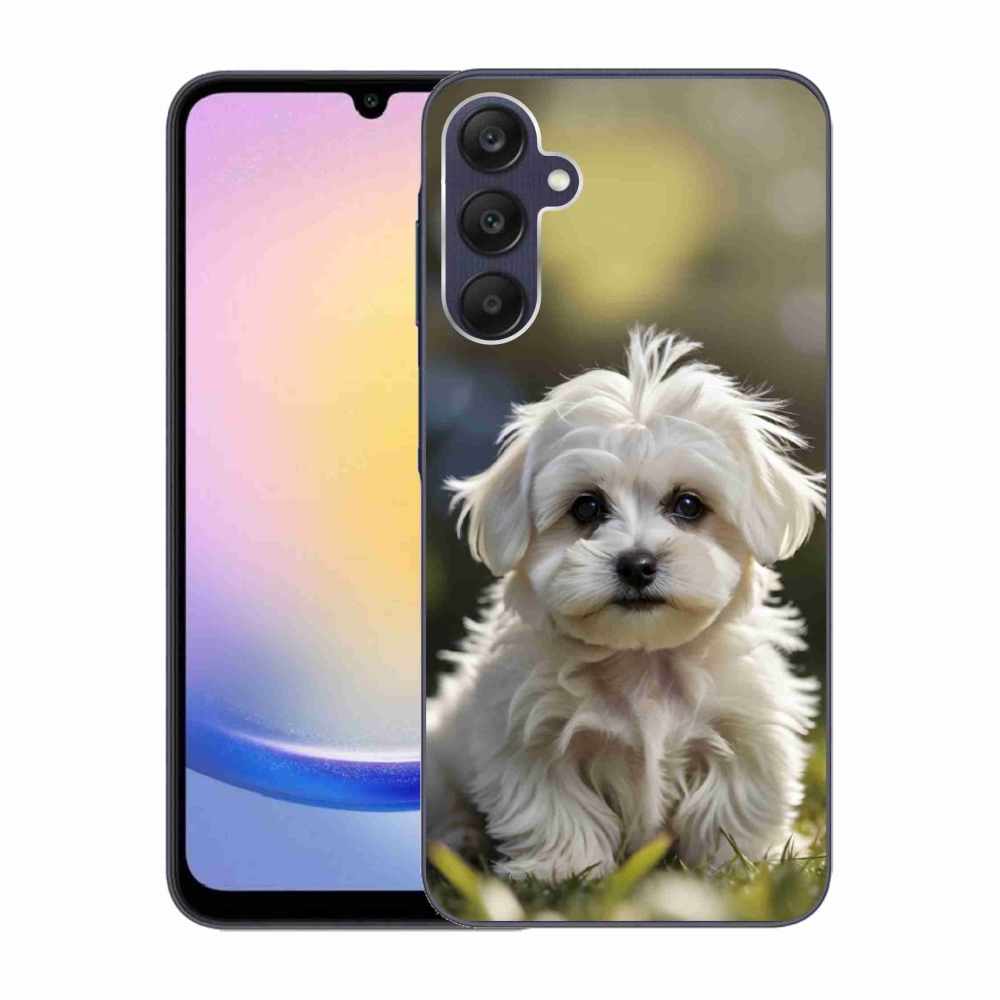 Gél borítás mmCase Samsung Galaxy A25 5G - aranyos máltai kutya