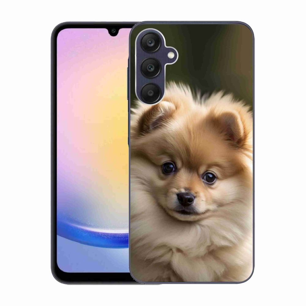 Gél borítás mmCase Samsung Galaxy A25 5G - aranyos pomerániai 2