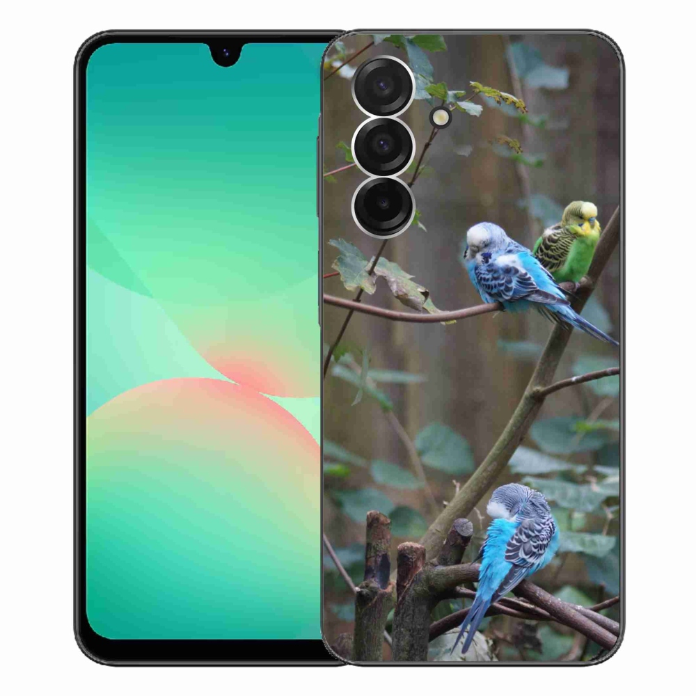Zselés borító mmCase Samsung Galaxy A26 5G - papagájok az ágon