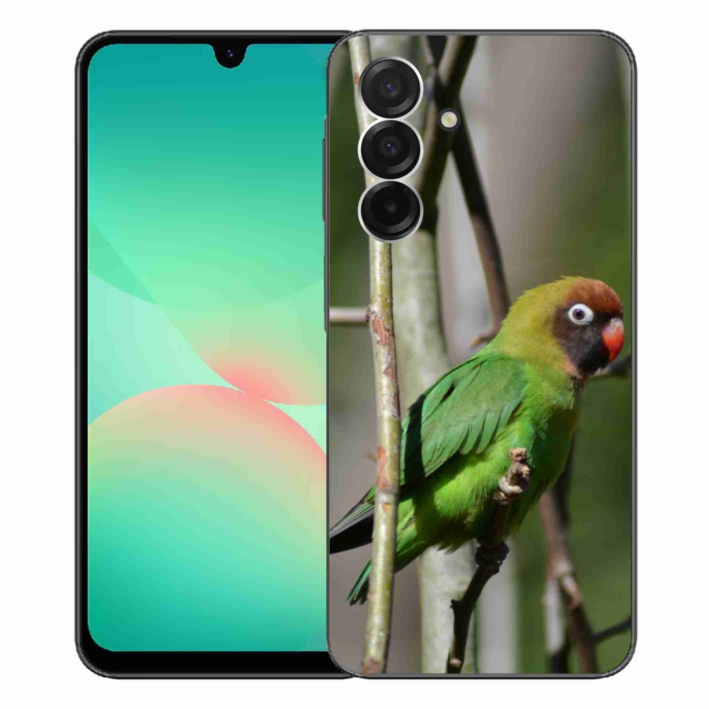 Gél borítás mmCase Samsung Galaxy A26 5G - papagáj agapornis
