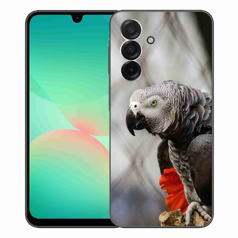 Zselés borítás mmCase Samsung Galaxy A26 5G - papagáj jacco 3