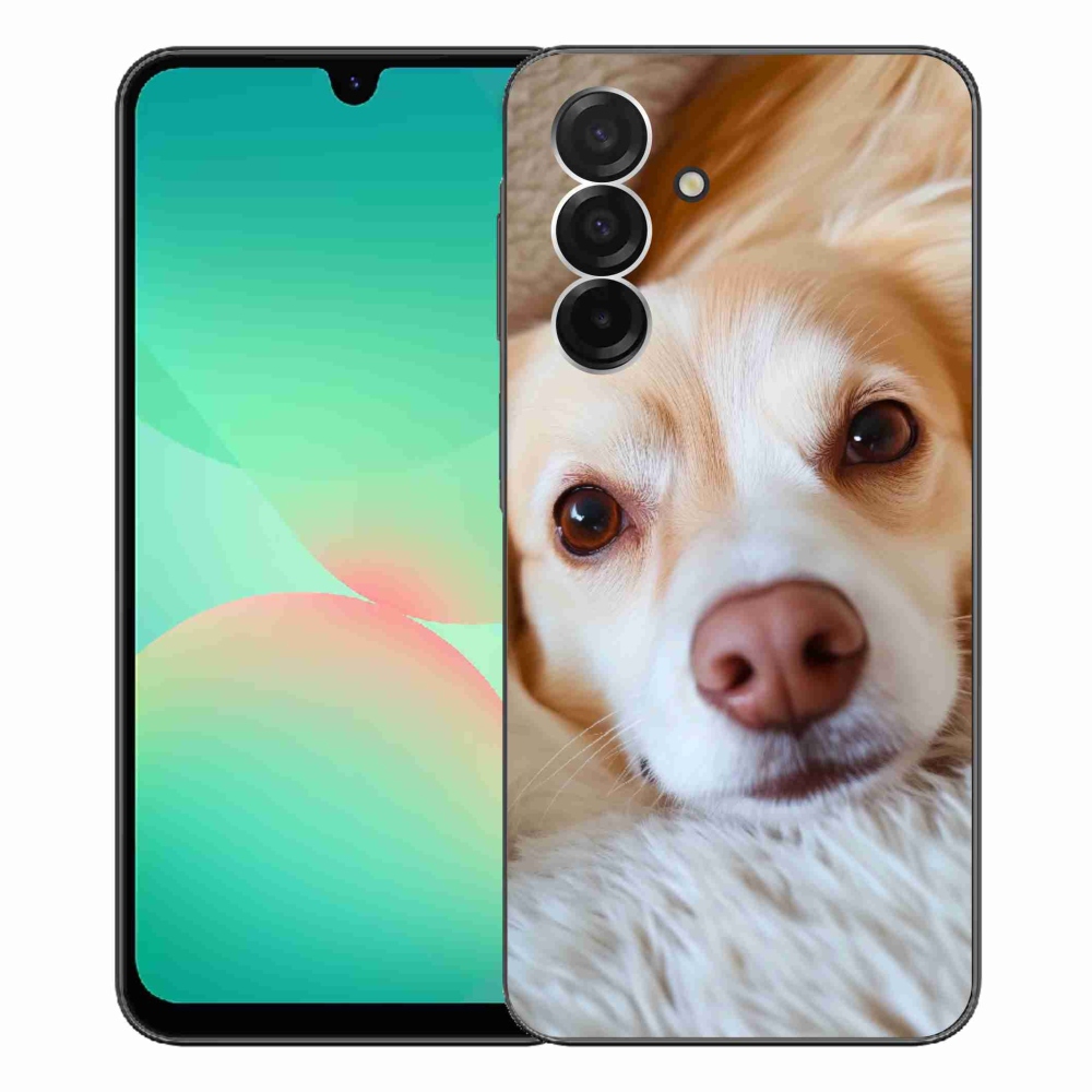 Gél borítás mmCase Samsung Galaxy A26 5G - Aranyos csivava - Samsung Galaxy A26 5G - Cuki csivava