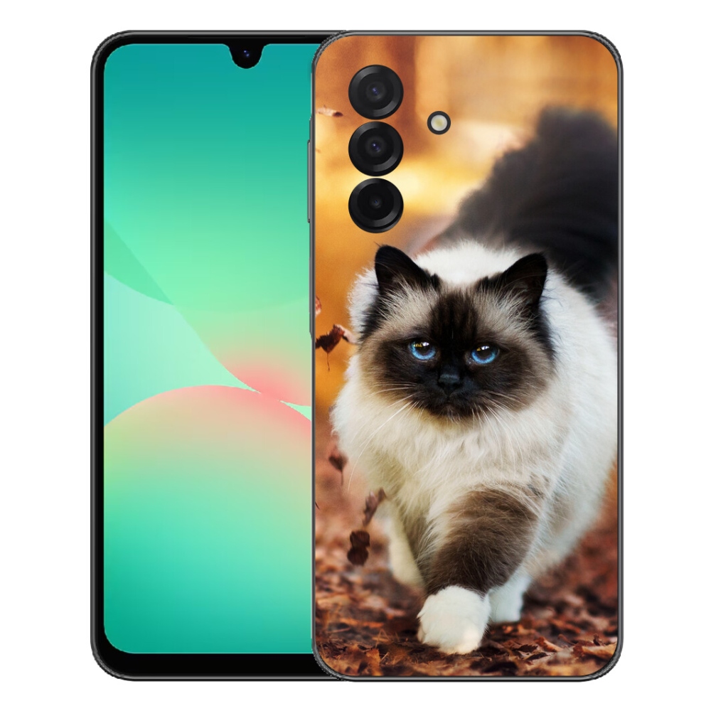 Zselés borítás mmCase Samsung Galaxy A27 5G - macska