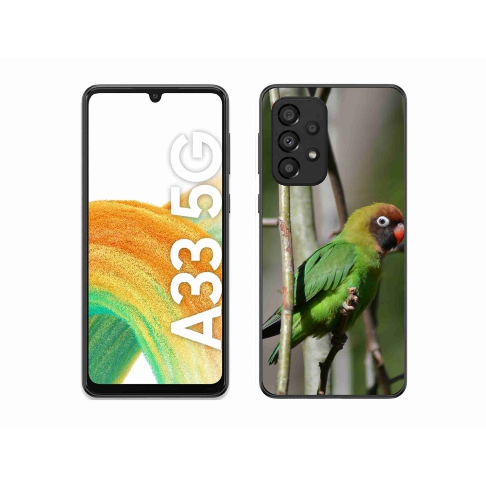 Gél borítás mmCase Samsung Galaxy A33 - papagáj agapornis
