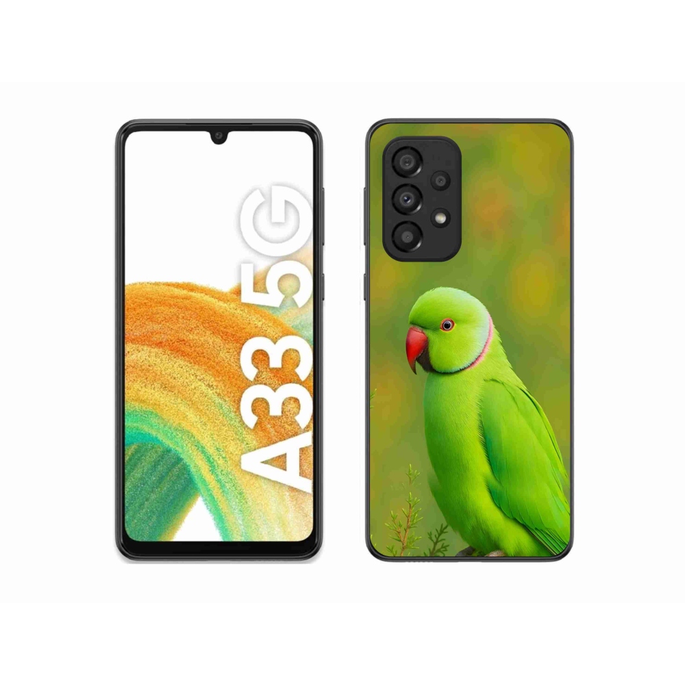 Zselés borítás mmCase Samsung Galaxy A33 - papagáj alexandr 2